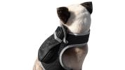 Enhanced GSM GPS Mini Pet Locator Tag Waterproof Dog/Cat Tracking Sys Size:M